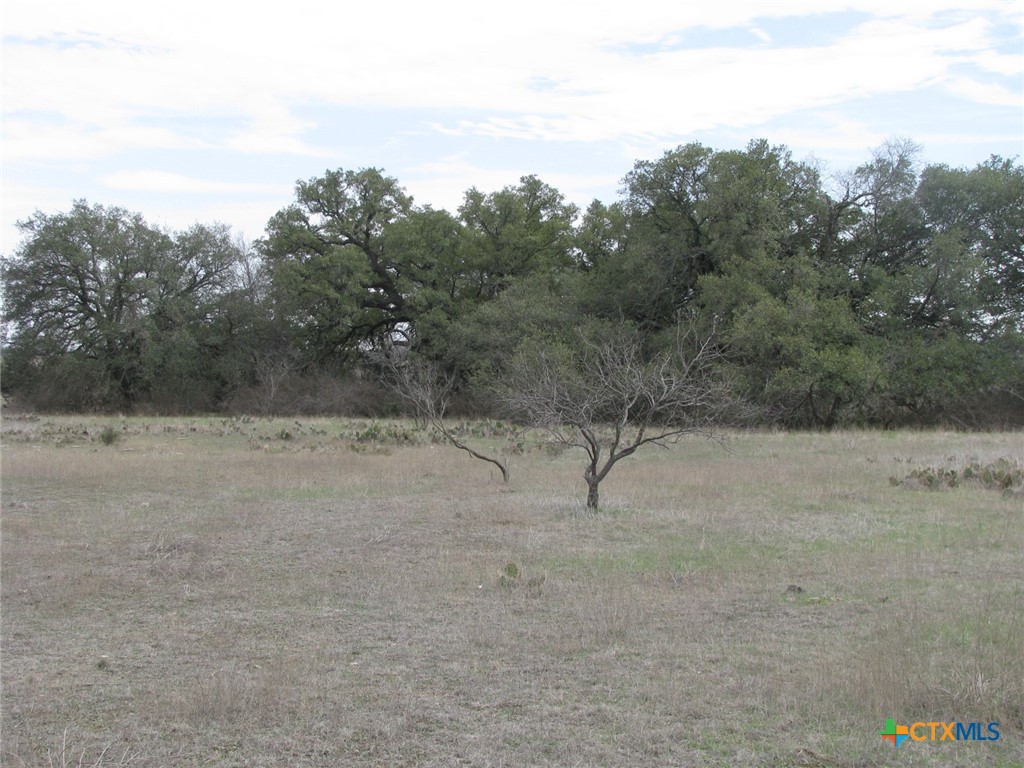 48 Acres Tbd Harmon Road Property Photo 27
