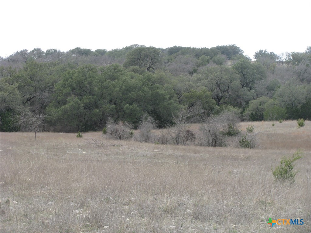48 Acres Tbd Harmon Road Property Photo 28