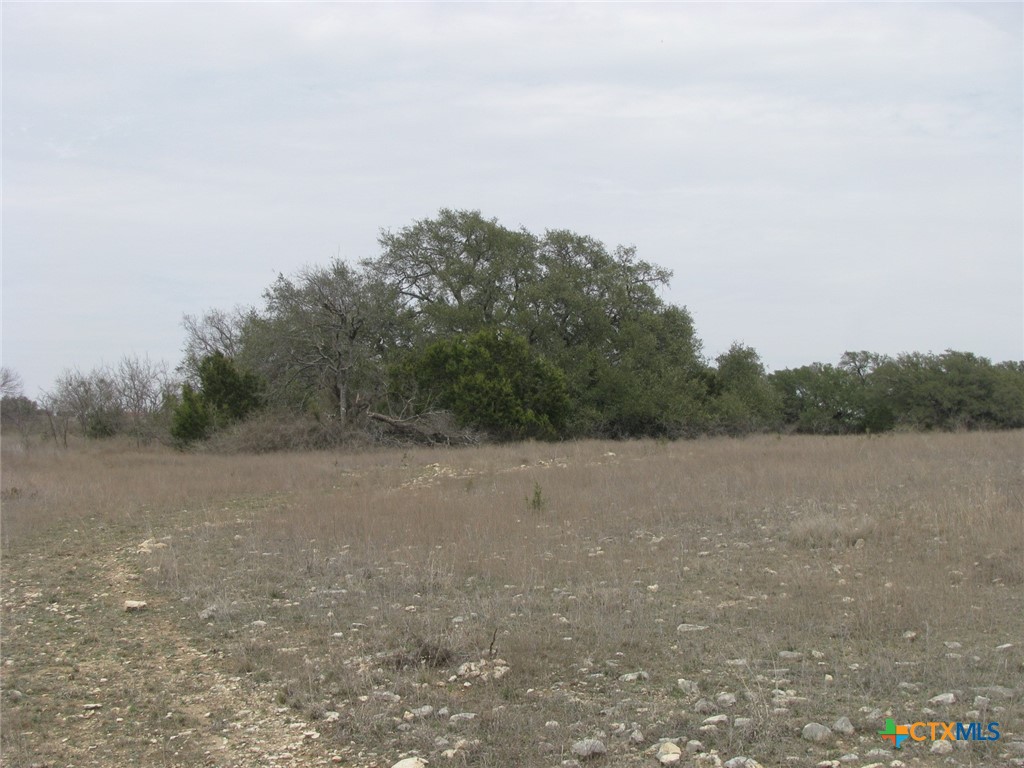 48 Acres Tbd Harmon Road Property Photo 29