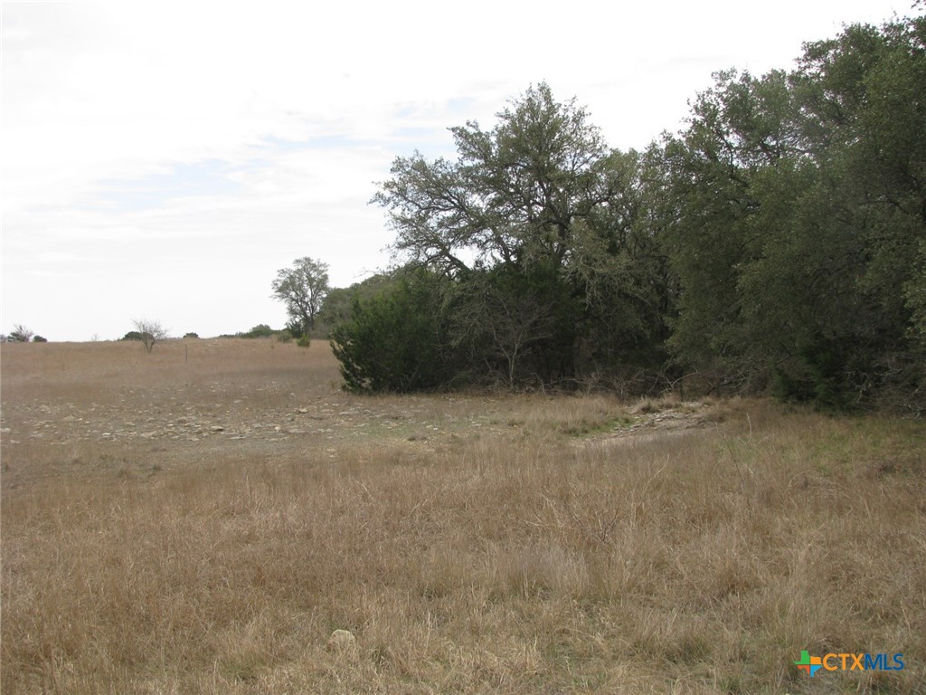 48 Acres Tbd Harmon Road Property Photo 30