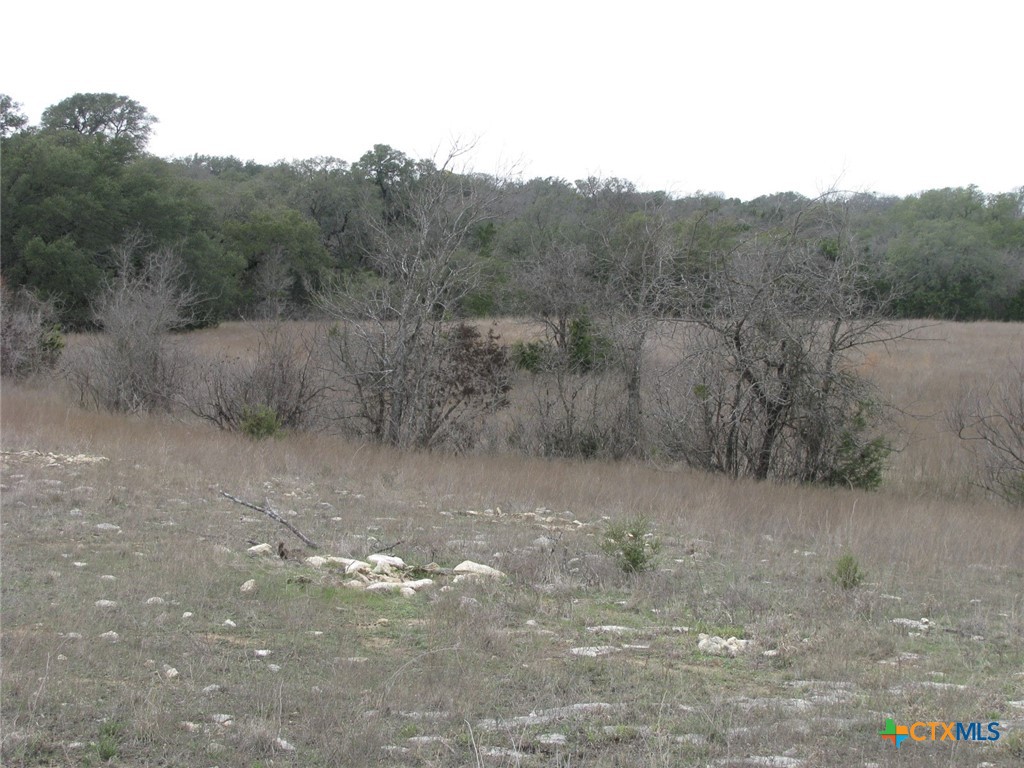 48 Acres Tbd Harmon Road Property Photo 31
