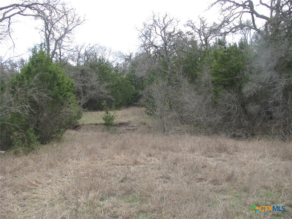 48 Acres Tbd Harmon Road Property Photo 33
