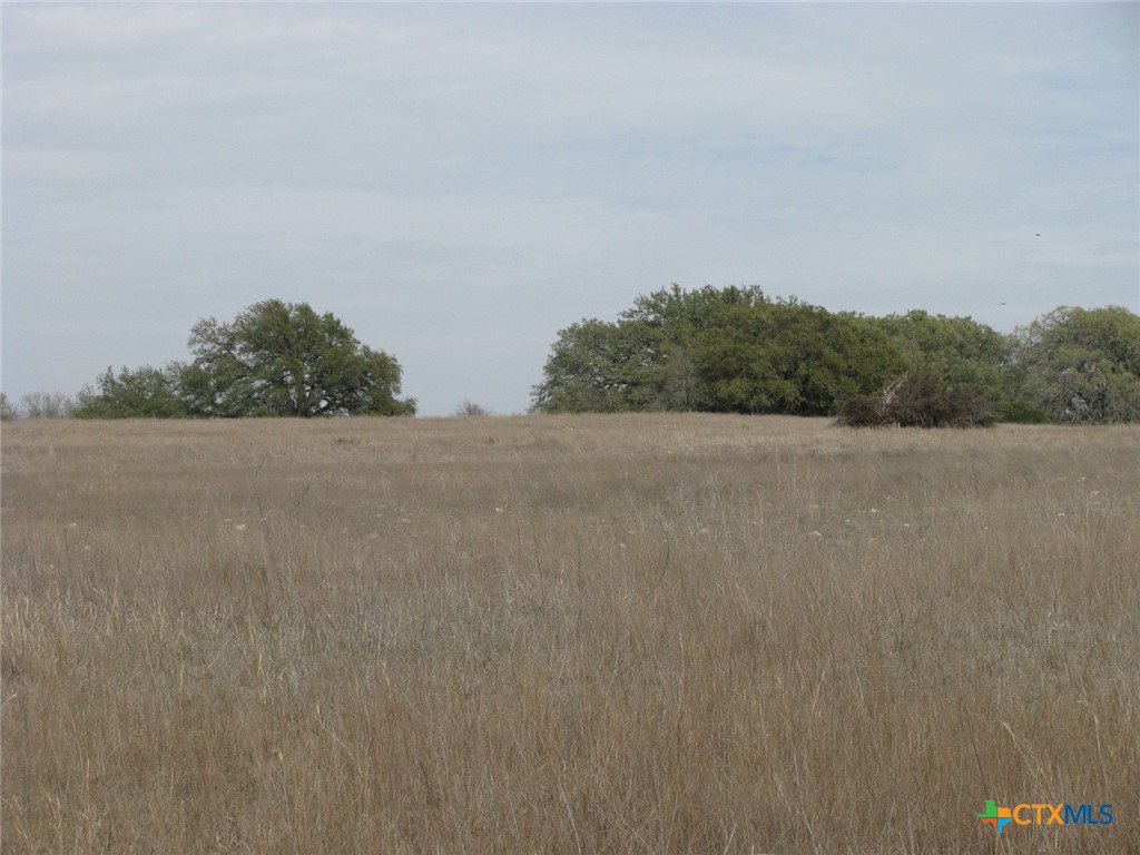 48 Acres Tbd Harmon Road Property Photo 34