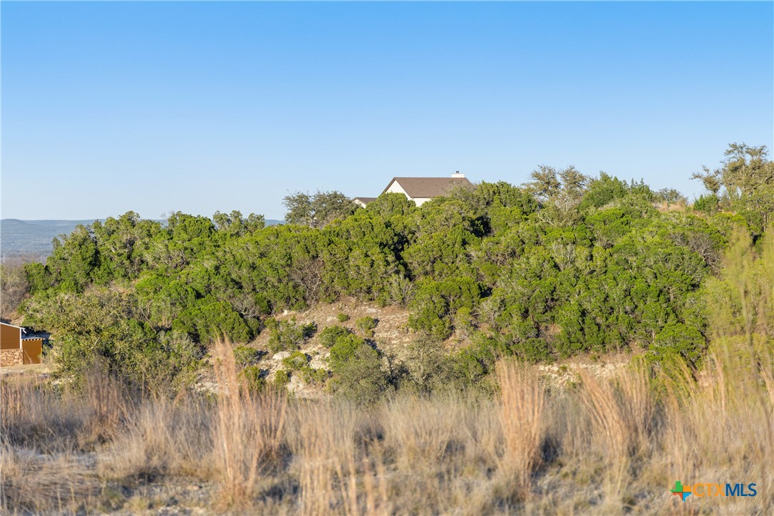264 Cedar Mountain Drive Property Photo 4