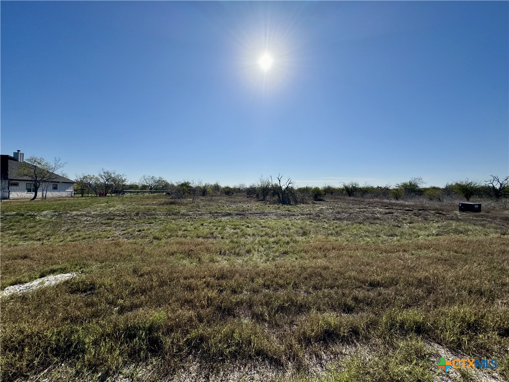 125 Wild Persimmon Trail Property Photo 1