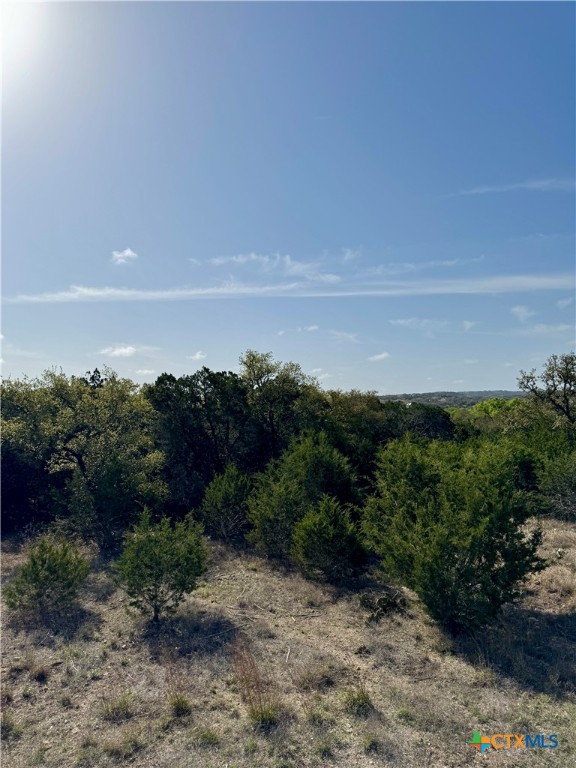 439 Cielo Vista Property Photo 11