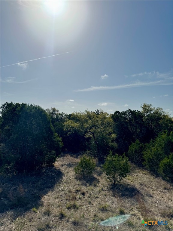 439 Cielo Vista Property Photo 12