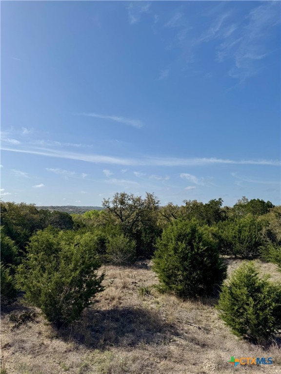 439 Cielo Vista Property Photo 13