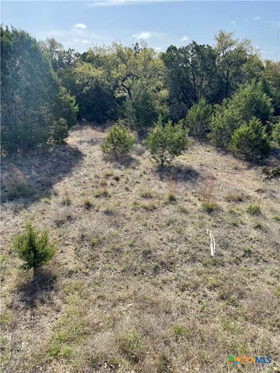 439 Cielo Vista Property Photo 14