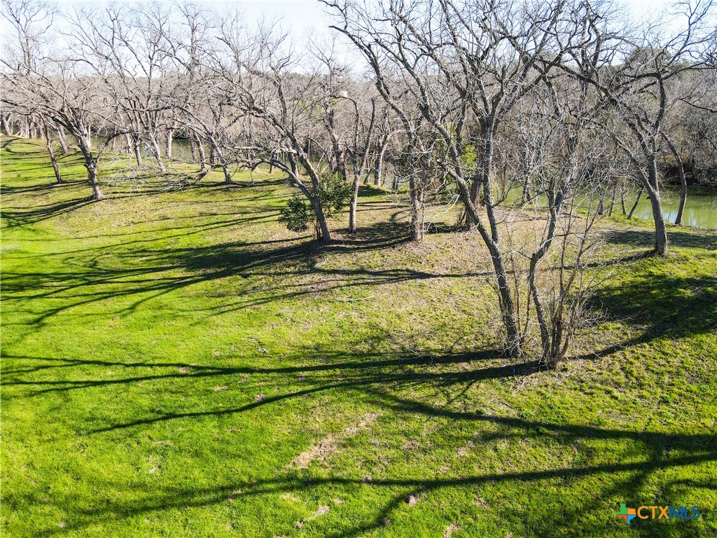 Tbd Lot 1 Leon River Property Photo 4