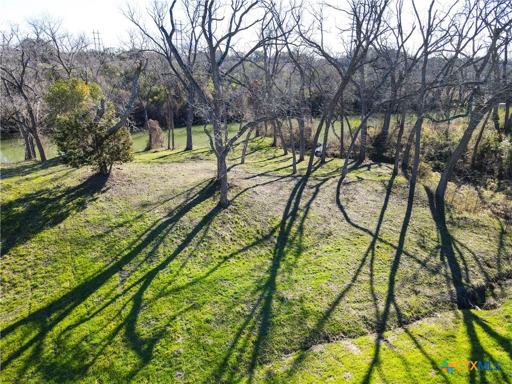Tbd Lot 1 Leon River Property Photo 5