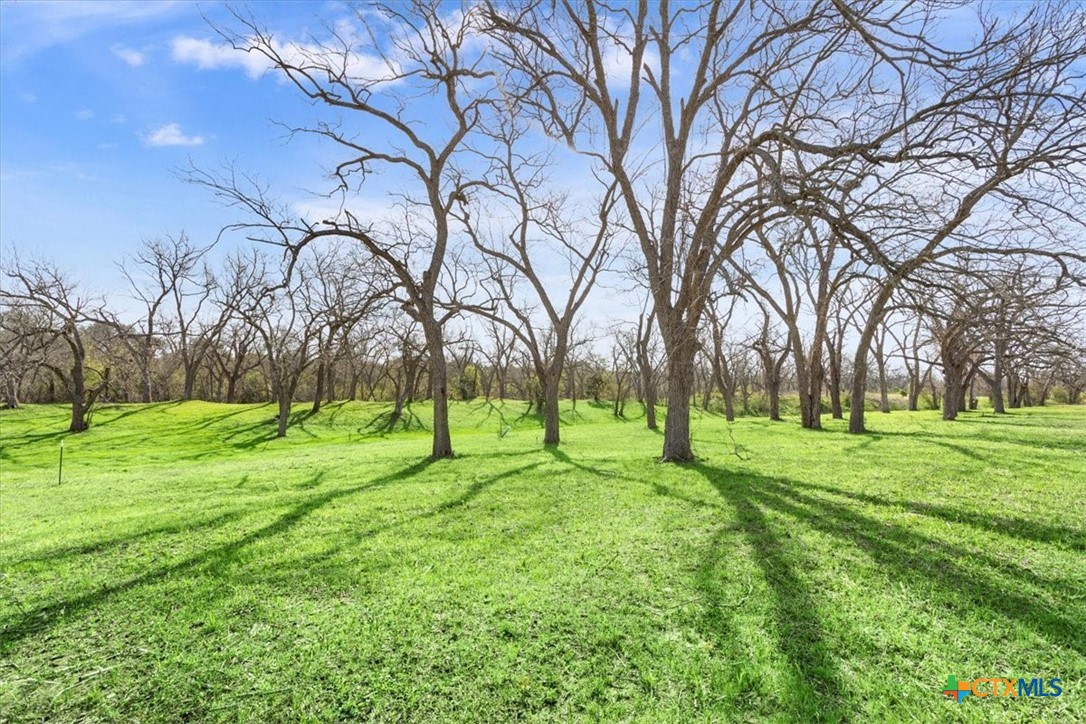 Tbd Lot 1 Leon River Property Photo 16