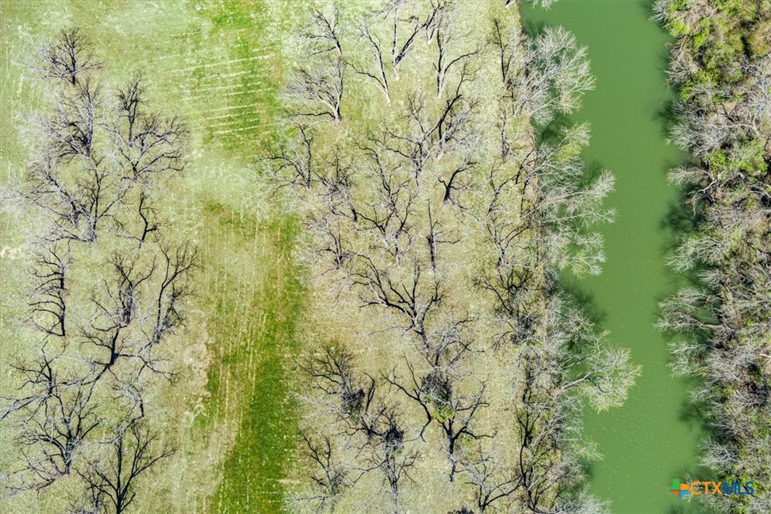 Tbd Lot 1 Leon River Property Photo 18
