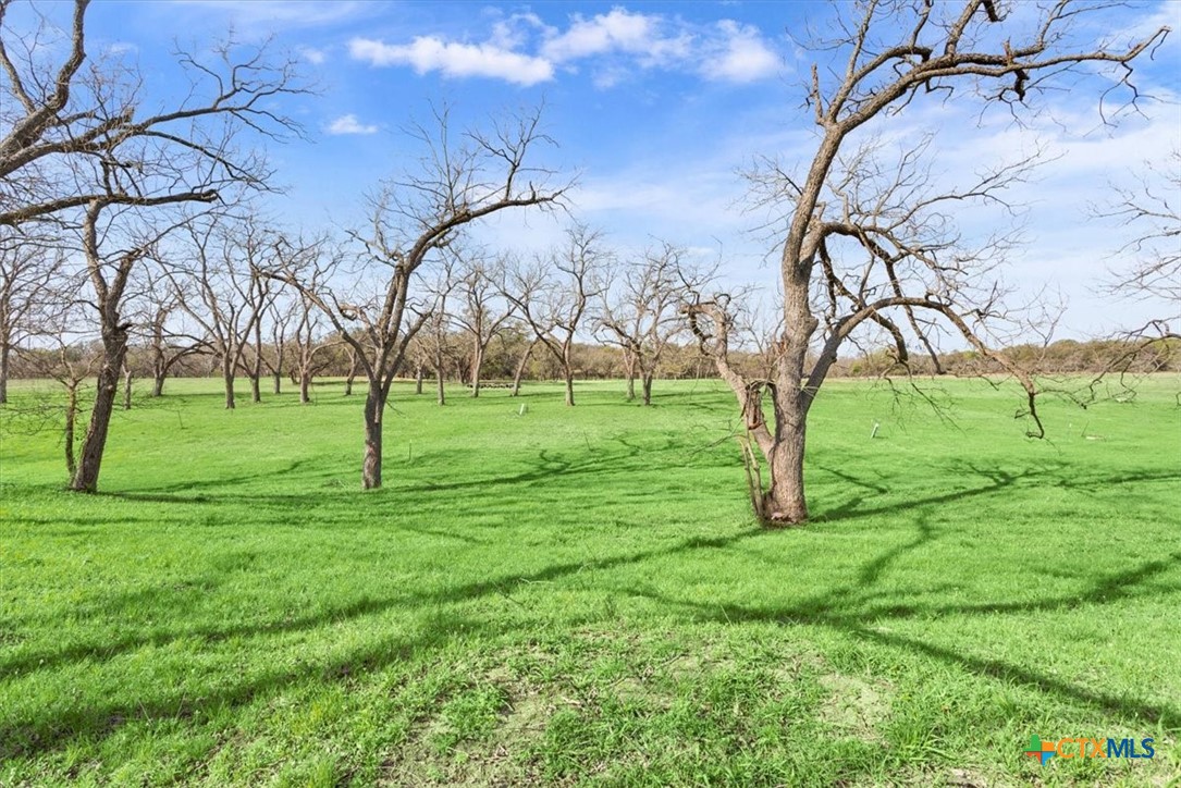 Tbd Lot 1 Leon River Property Photo 24