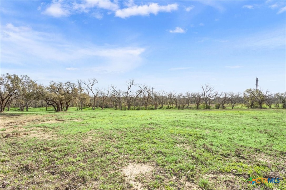 Tbd Lot 2 Leon River Property Photo 14