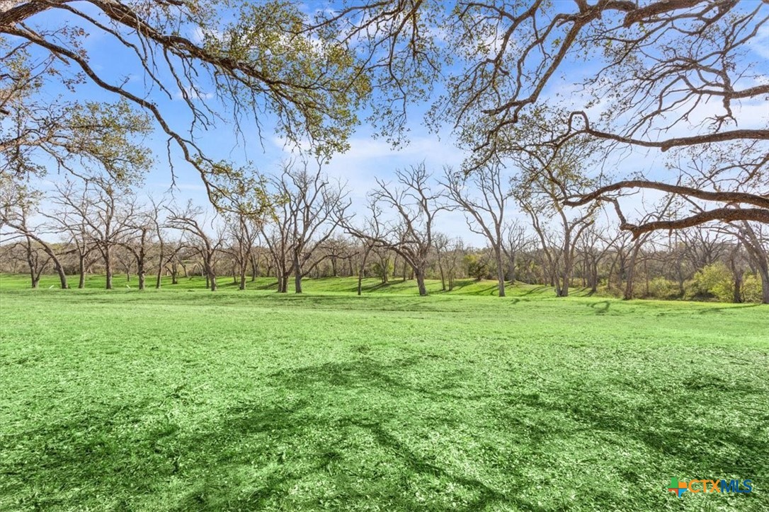 Tbd Lot 2 Leon River Property Photo 20