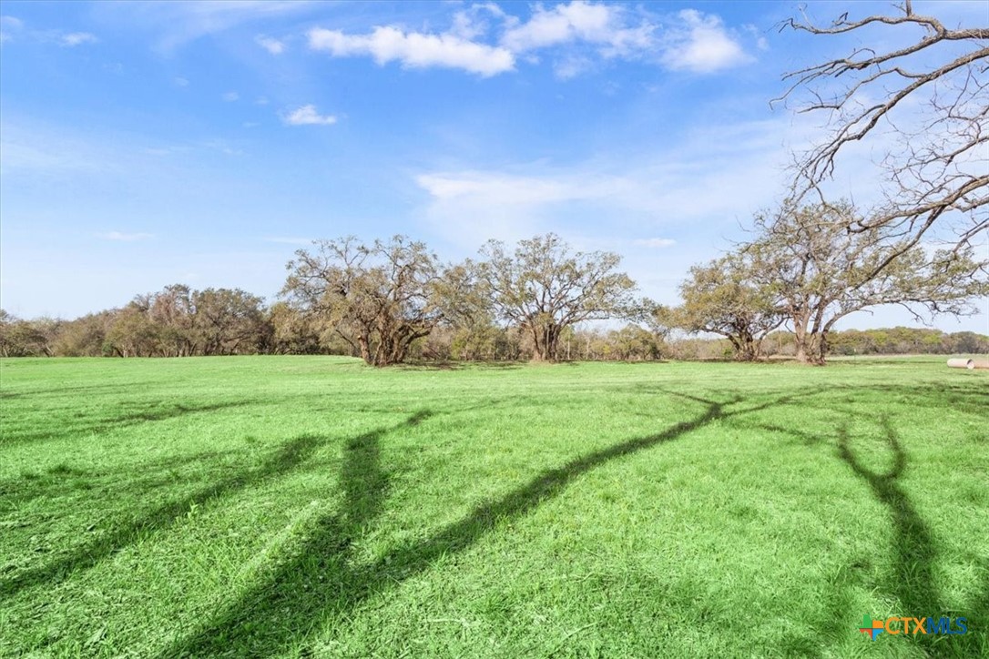 Tbd Lot 2 Leon River Property Photo 22