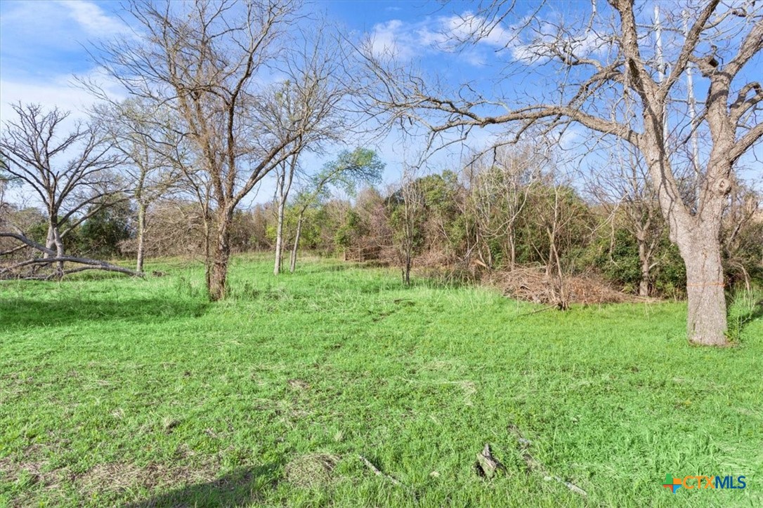 Tbd Lot 6 Leon River Property Photo 17