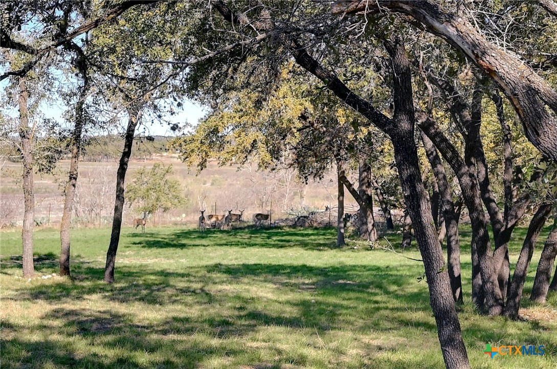 2106 Lakeshore Drive Property Photo 31