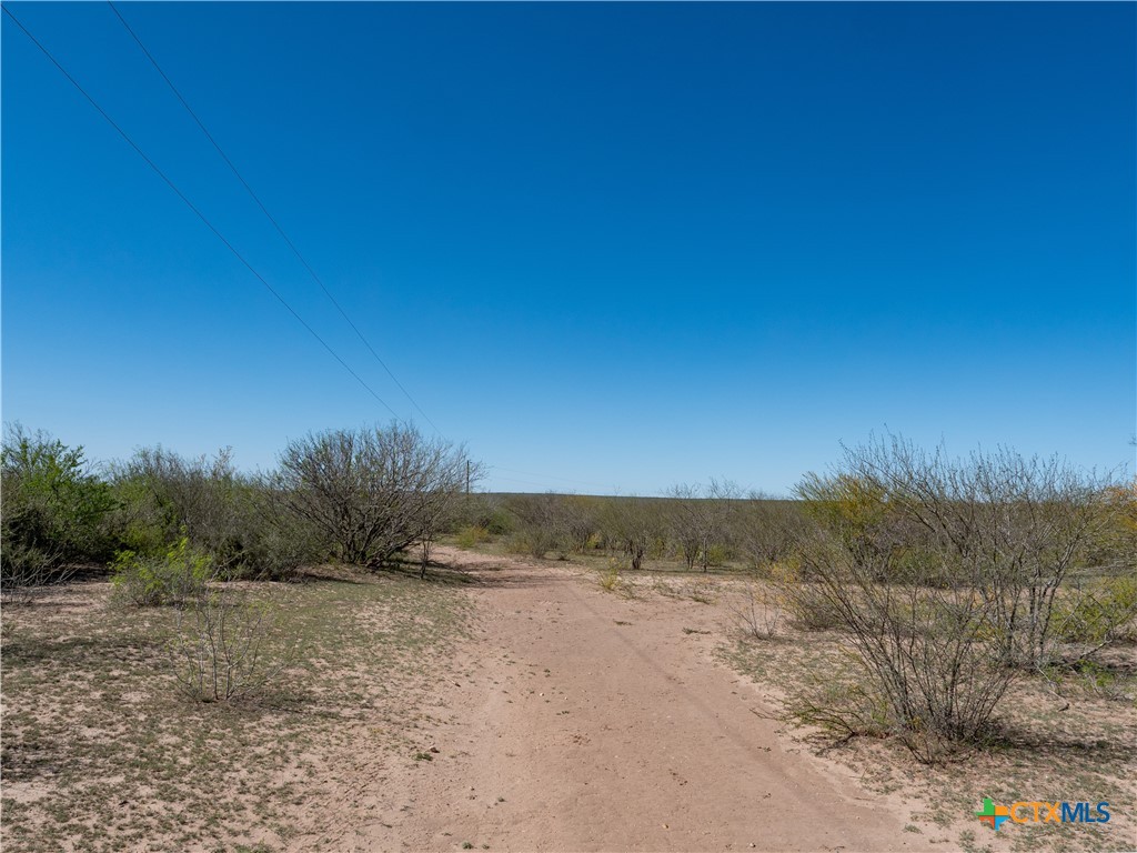 Tbd County Road 131 Property Photo 3