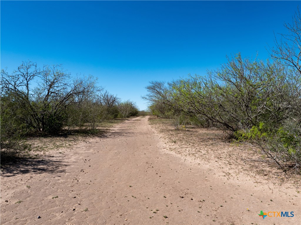 Tbd County Road 131 Property Photo 6