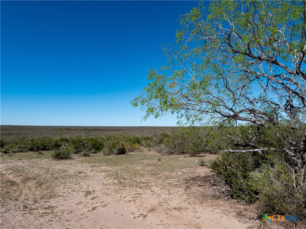 Tbd County Road 131 Property Photo 8