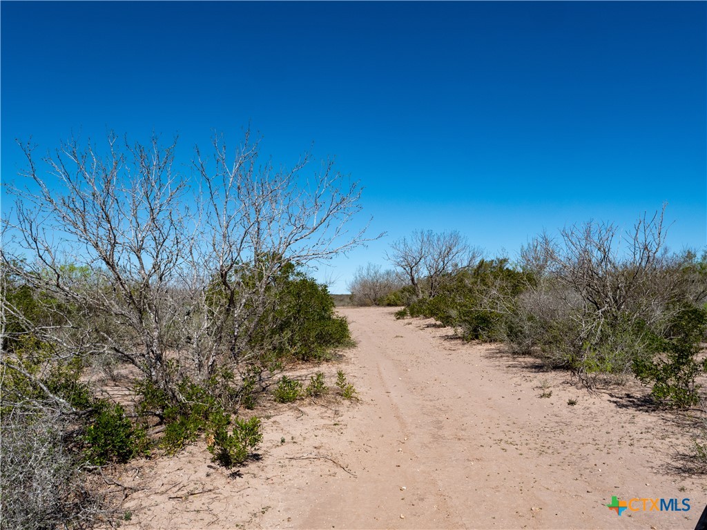 Tbd County Road 131 Property Photo 15
