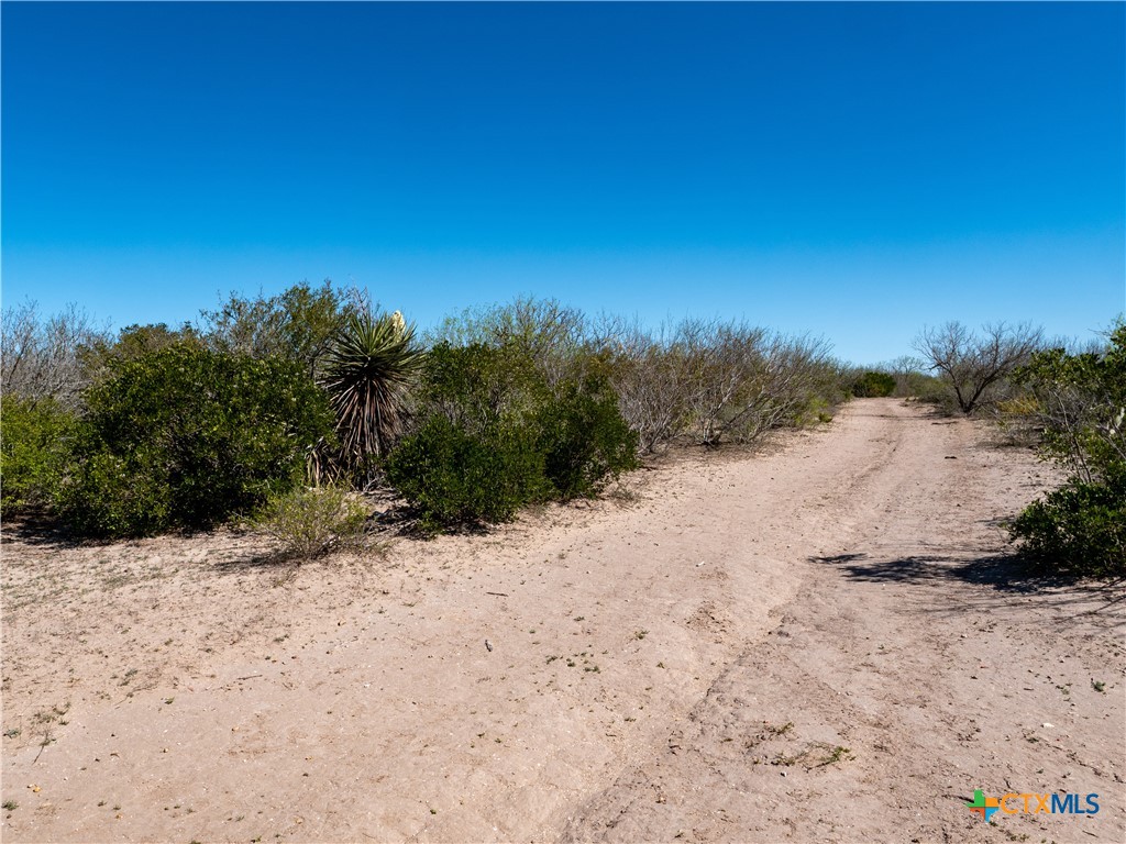 Tbd County Road 131 Property Photo 16