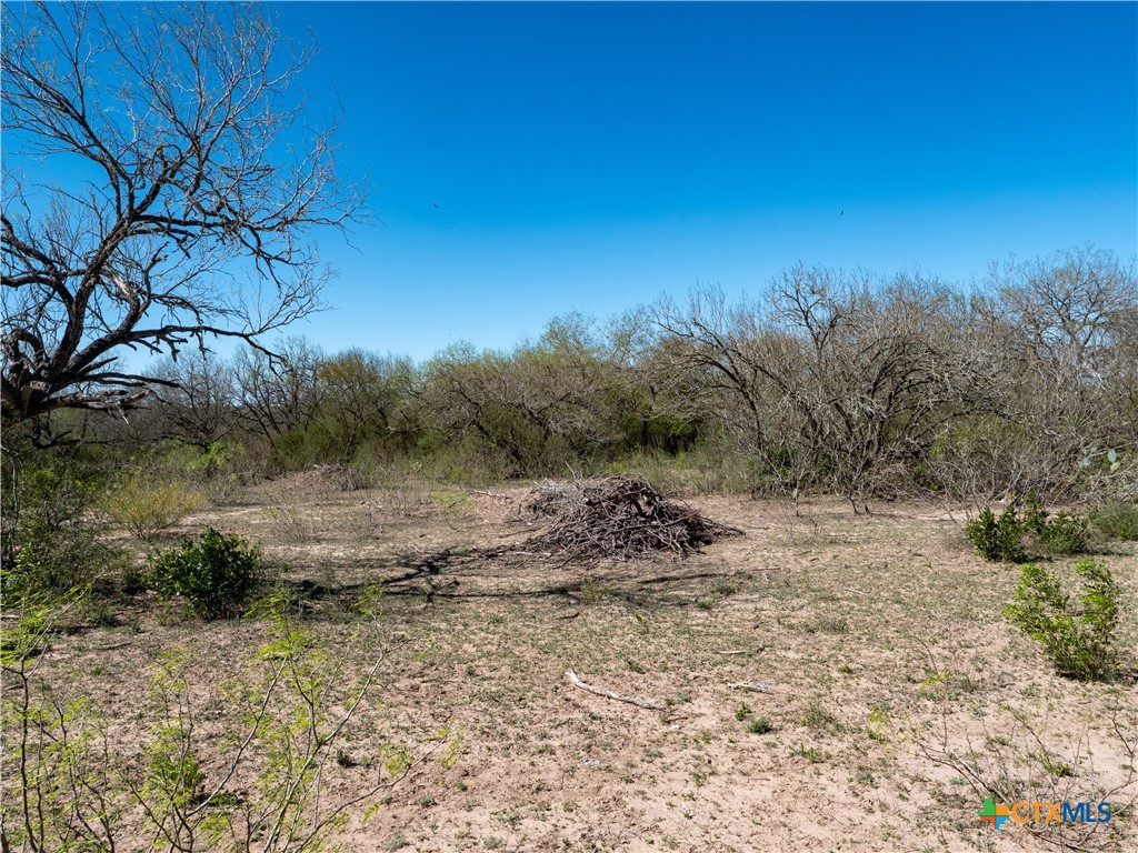 Tbd County Road 131 Property Photo 17