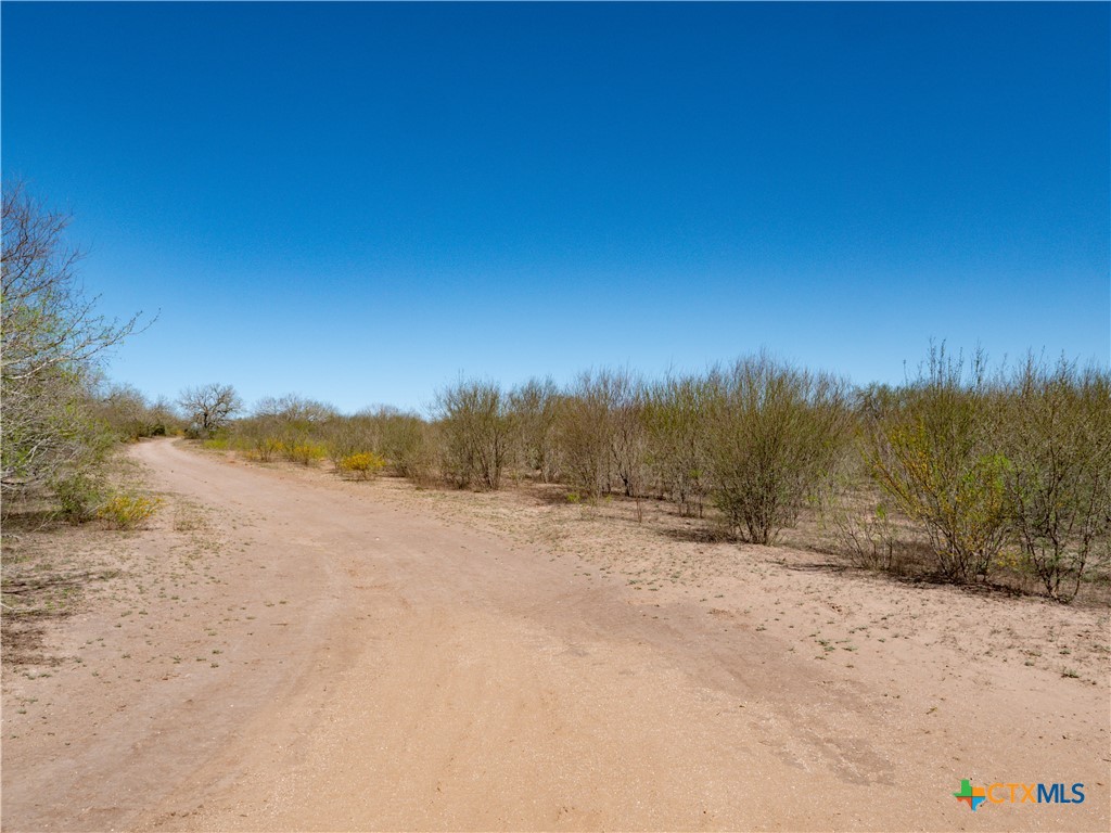 Tbd County Road 131 Property Photo 21