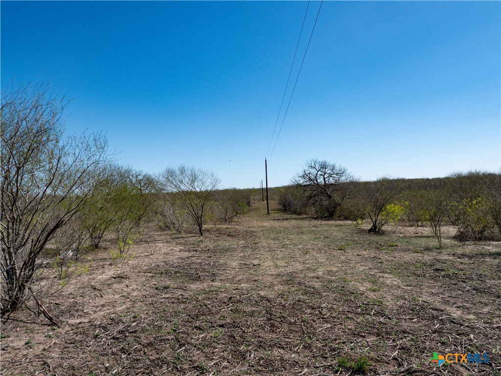 Tbd County Road 131 Property Photo 23
