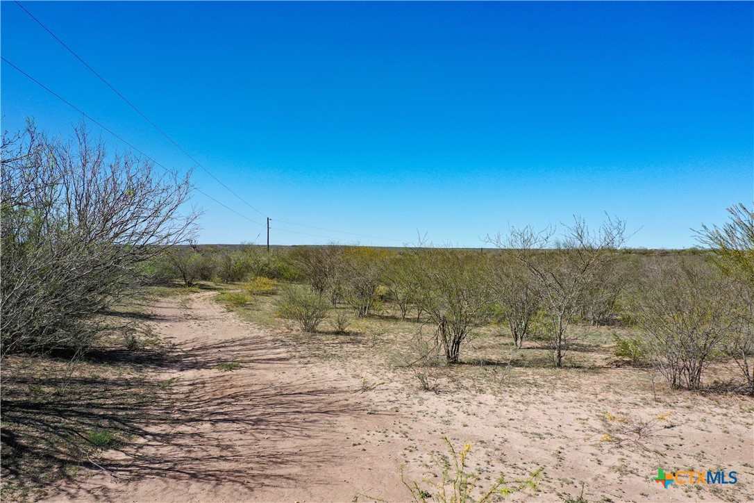 Tbd County Road 131 Property Photo 24