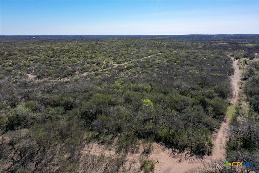 Tbd County Road 131 Property Photo 34
