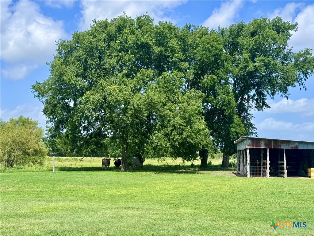 13801 Krause Road Property Photo 35