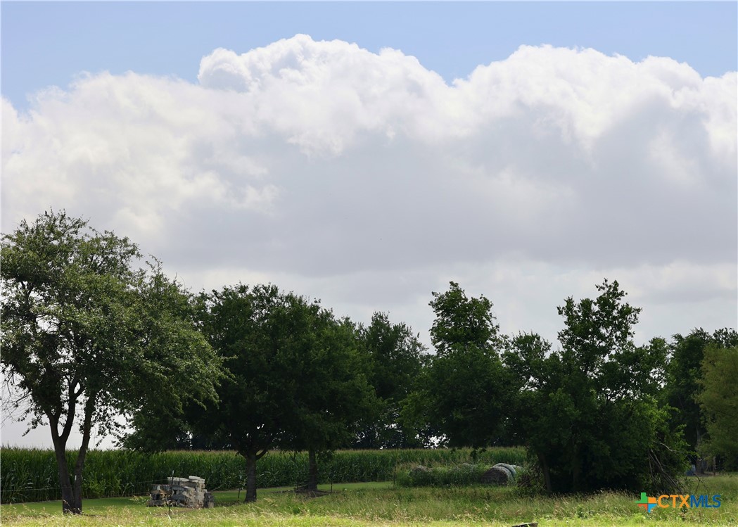 13801 Krause Road Property Photo 38