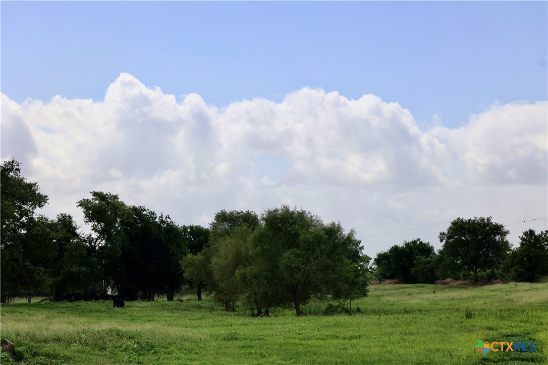 13801 Krause Road Property Photo 39