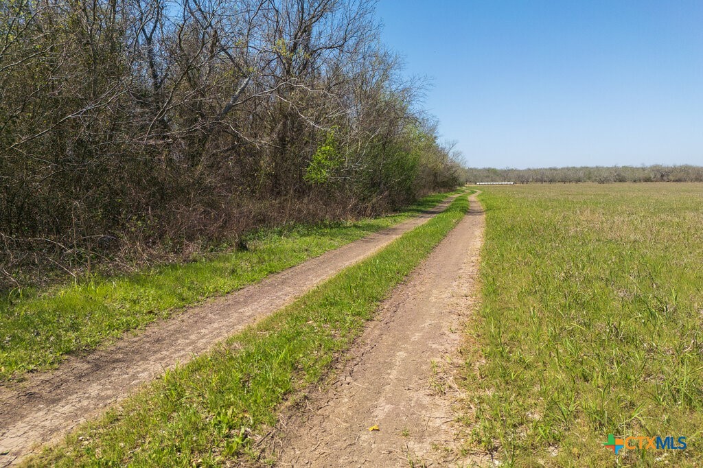 Tbd State Hwy 123 Byp Property Photo 29