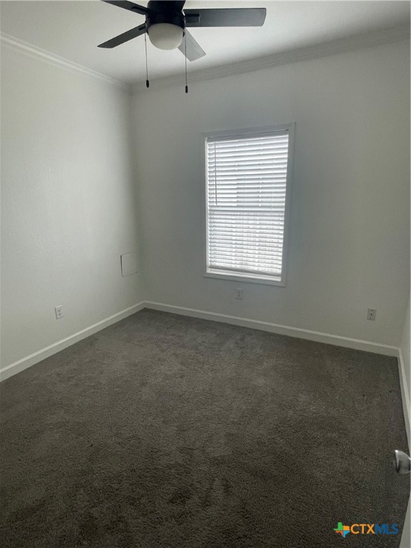203 Palmwood Drive Property Photo 6