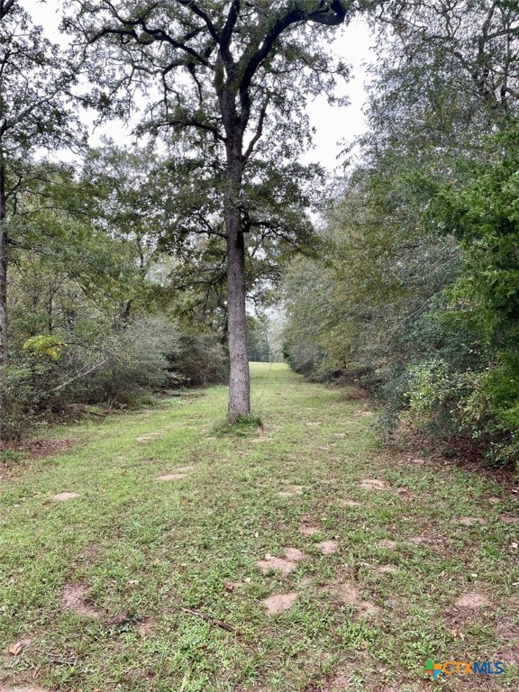 1073 Creekside Lane Property Photo 19