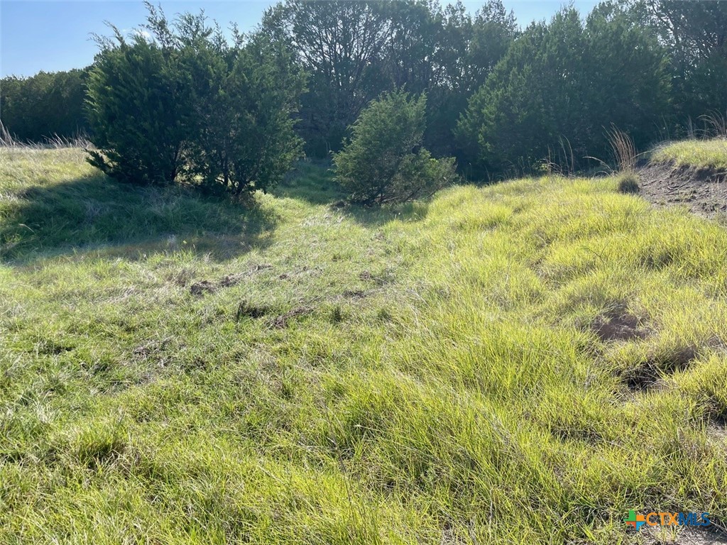Lots 62-63 Shin Oak / Mourning Dove Drive Property Photo 9