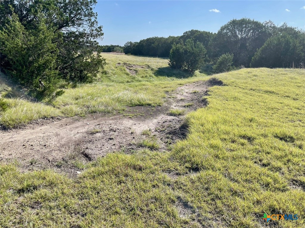 Lots 62-63 Shin Oak / Mourning Dove Drive Property Photo 10