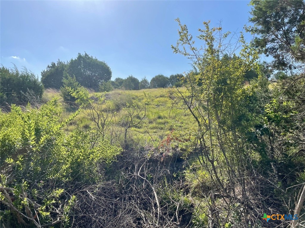 Lots 62-63 Shin Oak / Mourning Dove Drive Property Photo 12