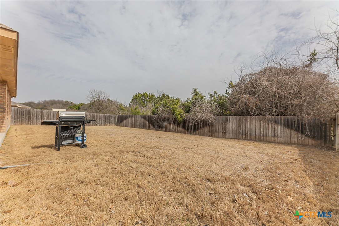 9710 Taylor Renee Drive Property Photo 30