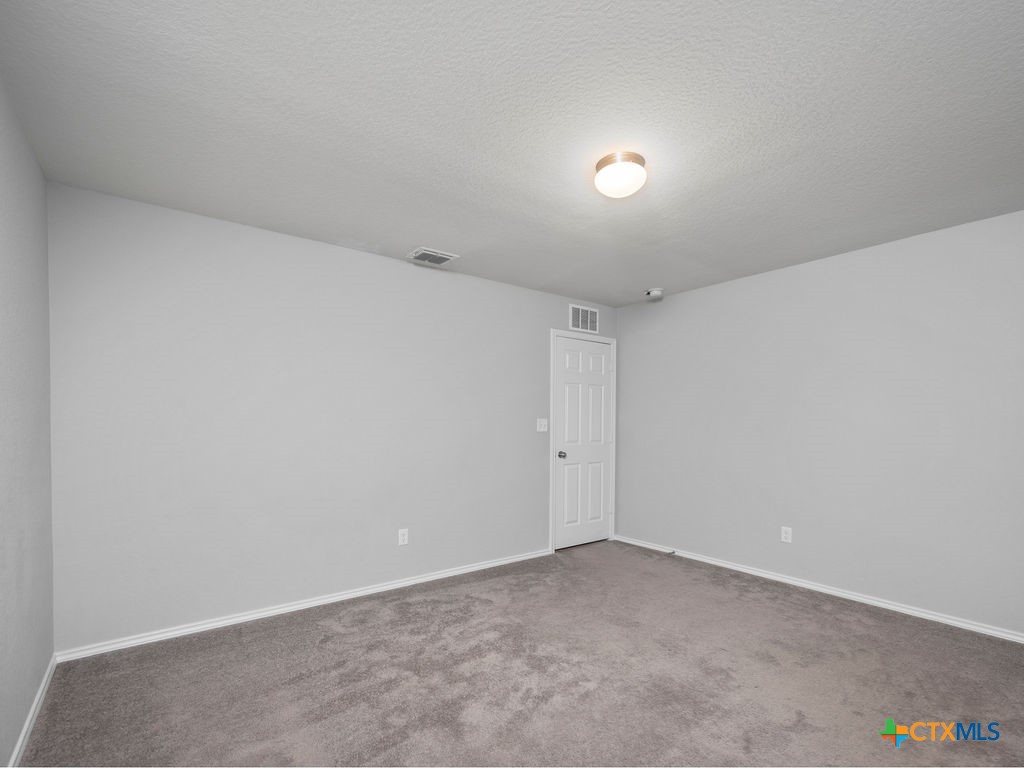 423 Dappled Willow Property Photo 16