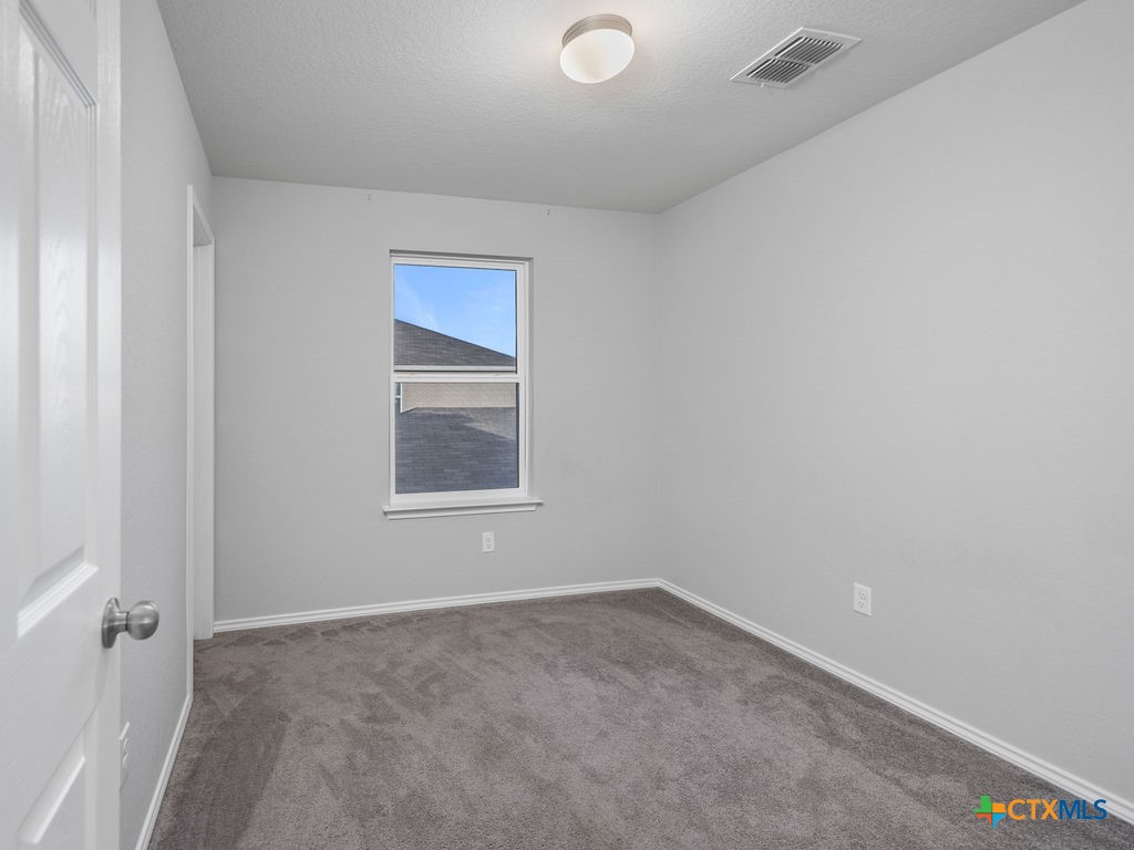 423 Dappled Willow Property Photo 17
