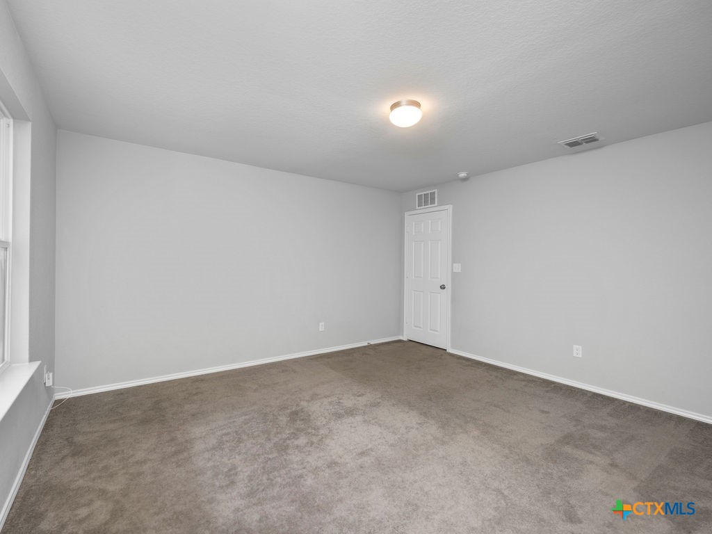 423 Dappled Willow Property Photo 21