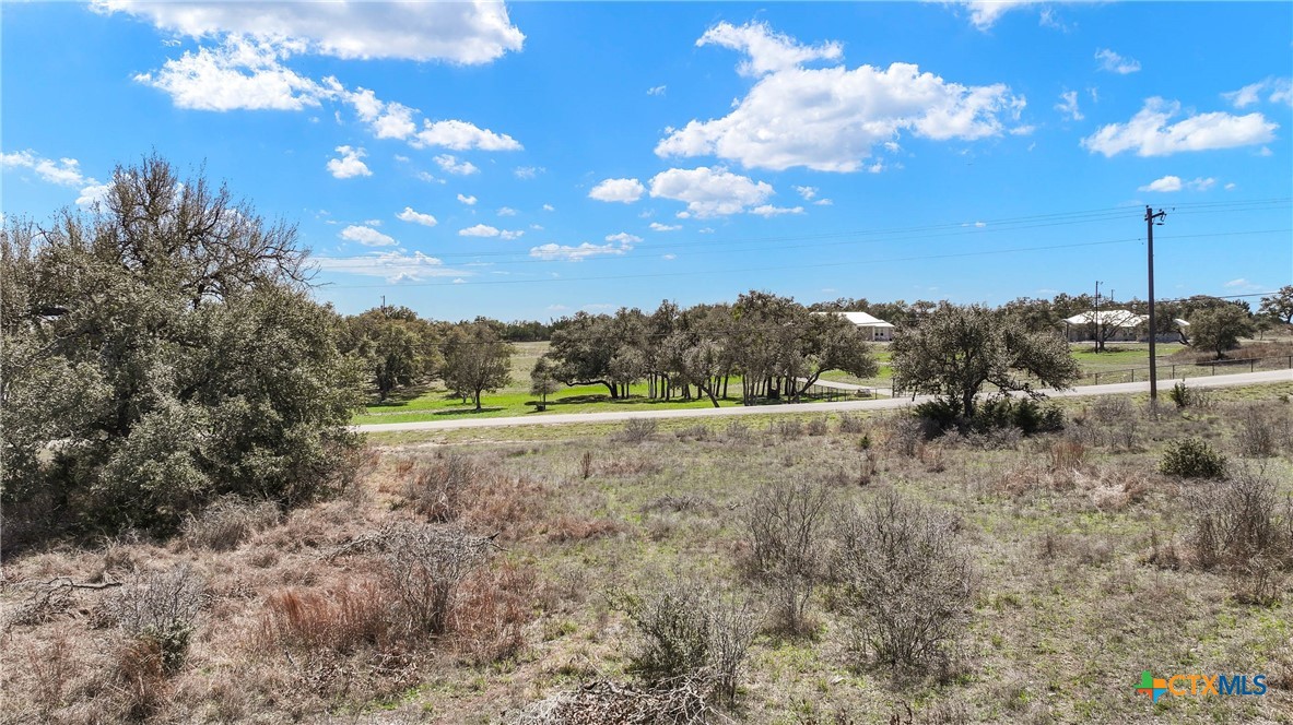 198 Lily Street Property Photo 22