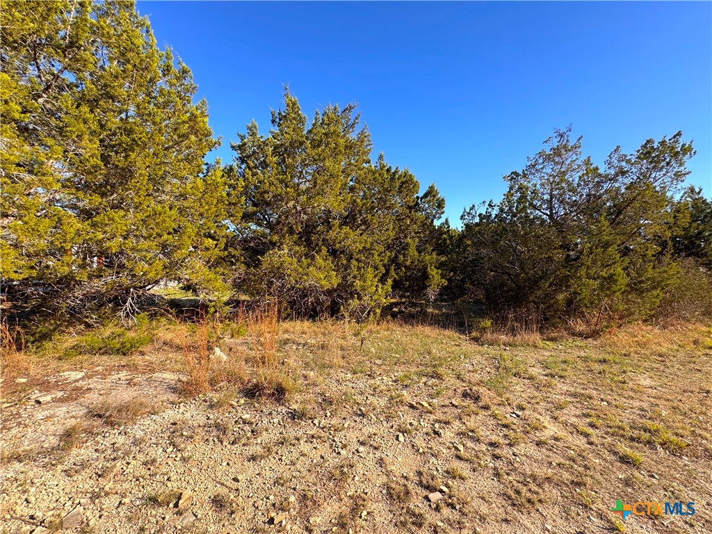 1100 Diamondhead Drive Property Photo 6