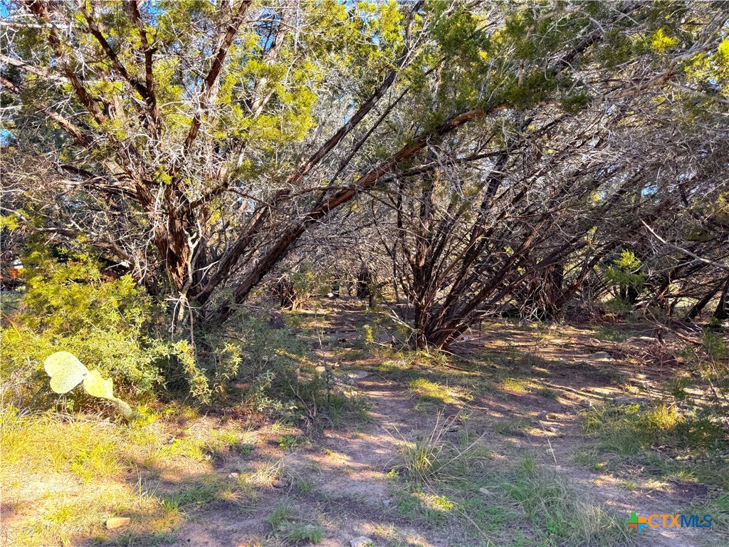 1100 Diamondhead Drive Property Photo 8