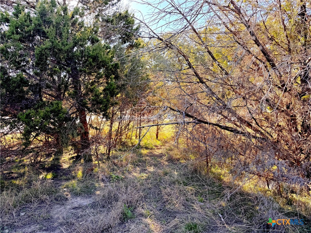 1100 Diamondhead Drive Property Photo 9